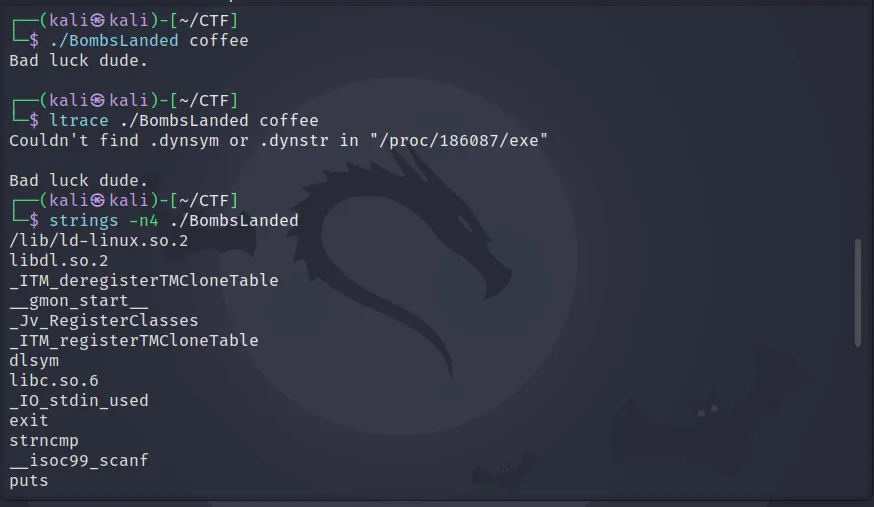 Running the binary